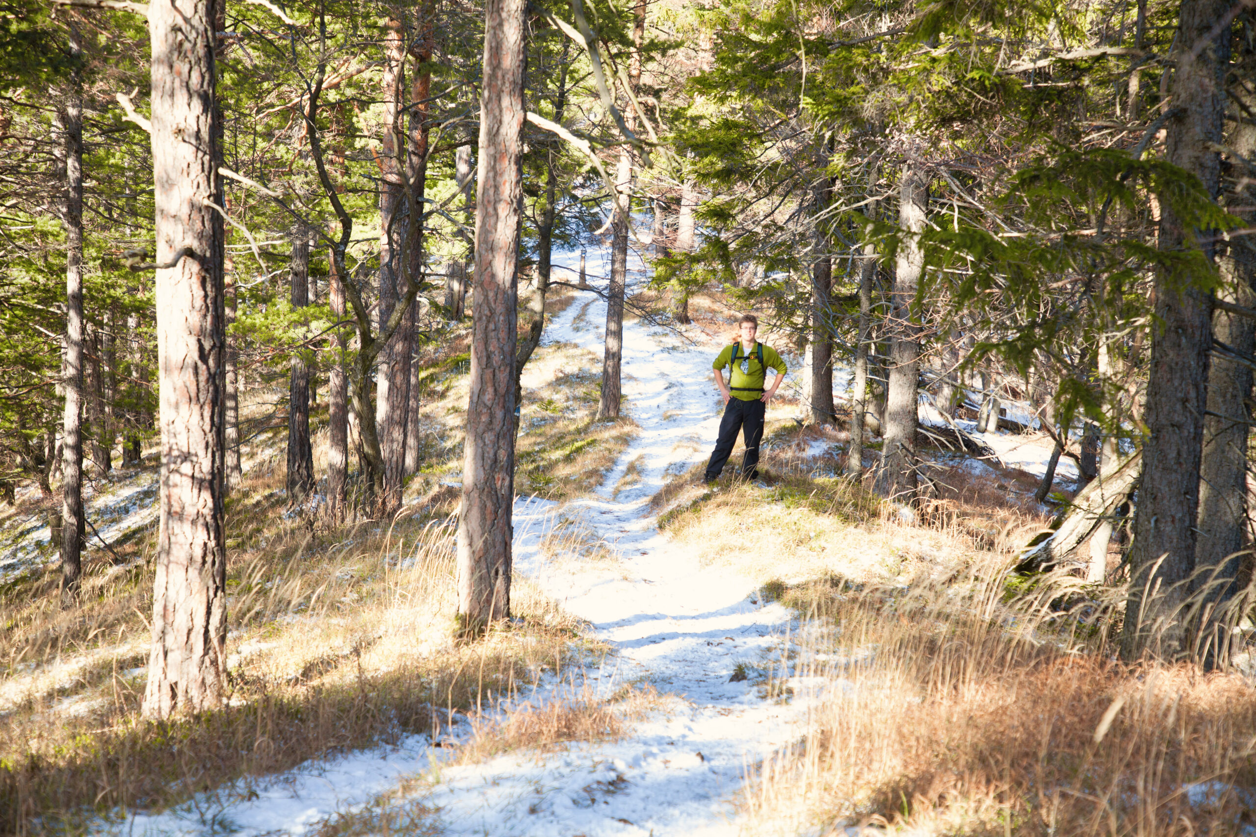 Enziansteig aufs Kieneck – abwechslungsreicher Steig mit Aussicht & Enzianhütte