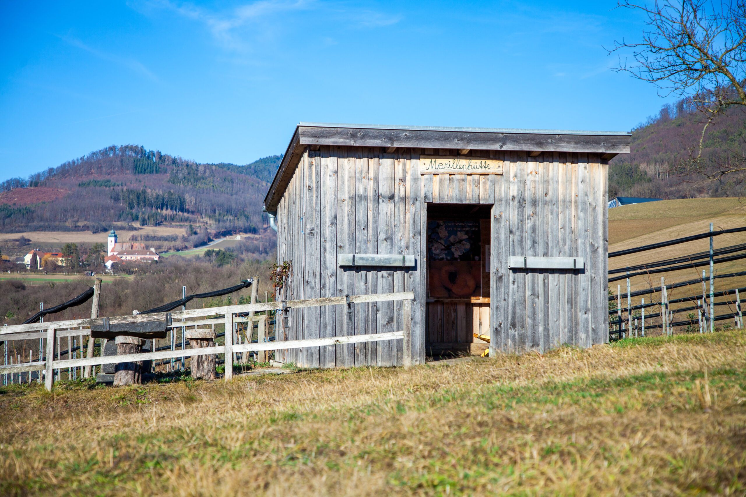 Wandern Wachau: Spitz – Bärenwand in Niederösterreich