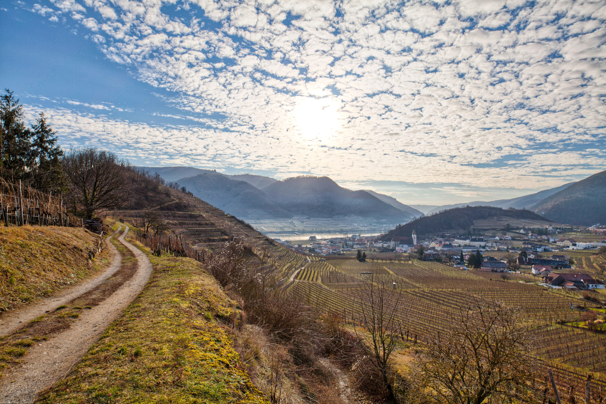Wandern Wachau: Spitz – Rotes Tor – Buchberg in Niederösterreich