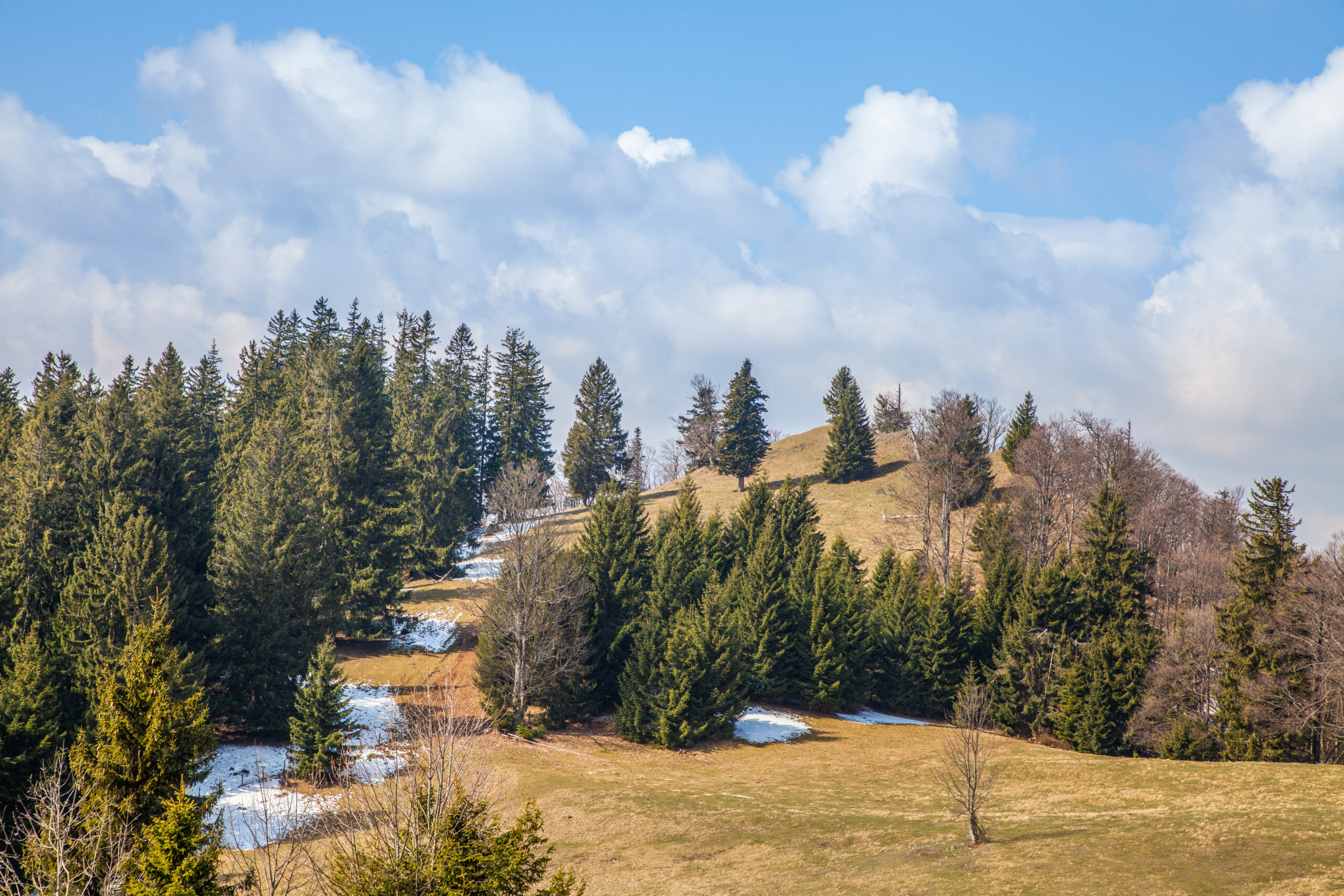 Wandern Alpen: Ebenwaldhöhe – Almwanderung in Niederösterreich
